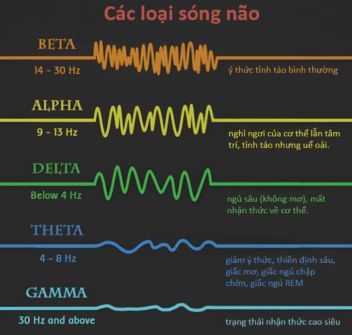 Cac loai song nao co trong dien nao do Fujiiryoki Official - Website Fujiiryoki chính thức tại Việt Nam